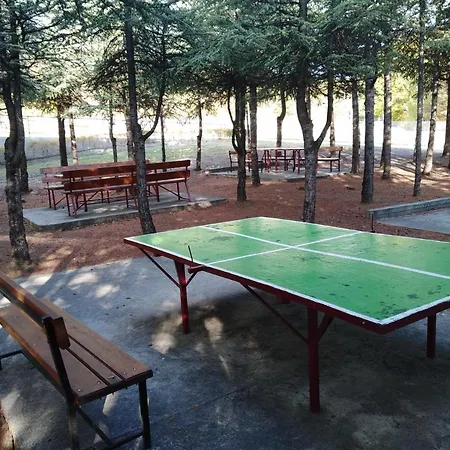 Noks 1st Line 公寓 *