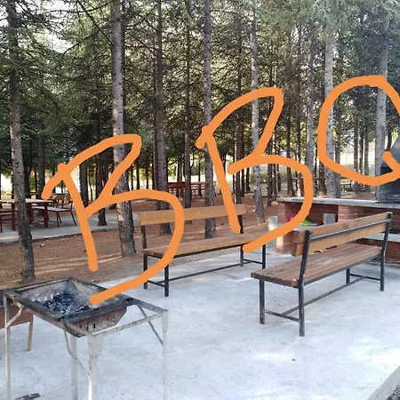 Noks 1st Line * 圣弗拉斯