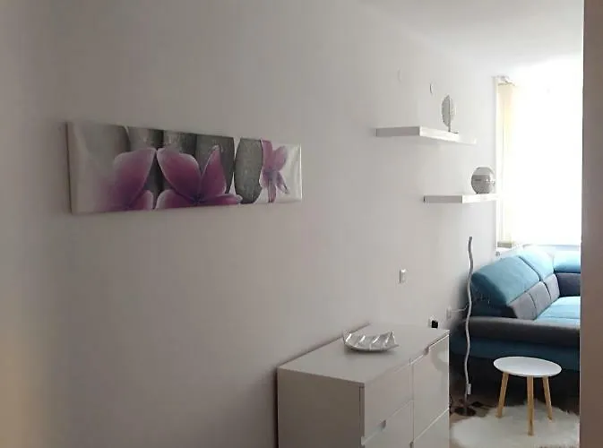 Noks 1st Line * 圣弗拉斯